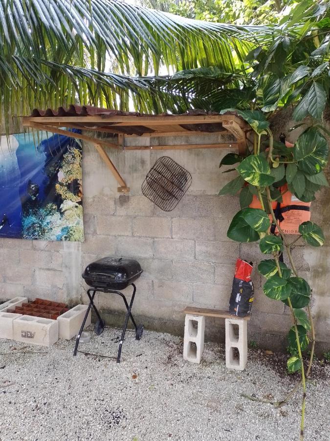Blue Magic Hostel Cozumel Exterior foto