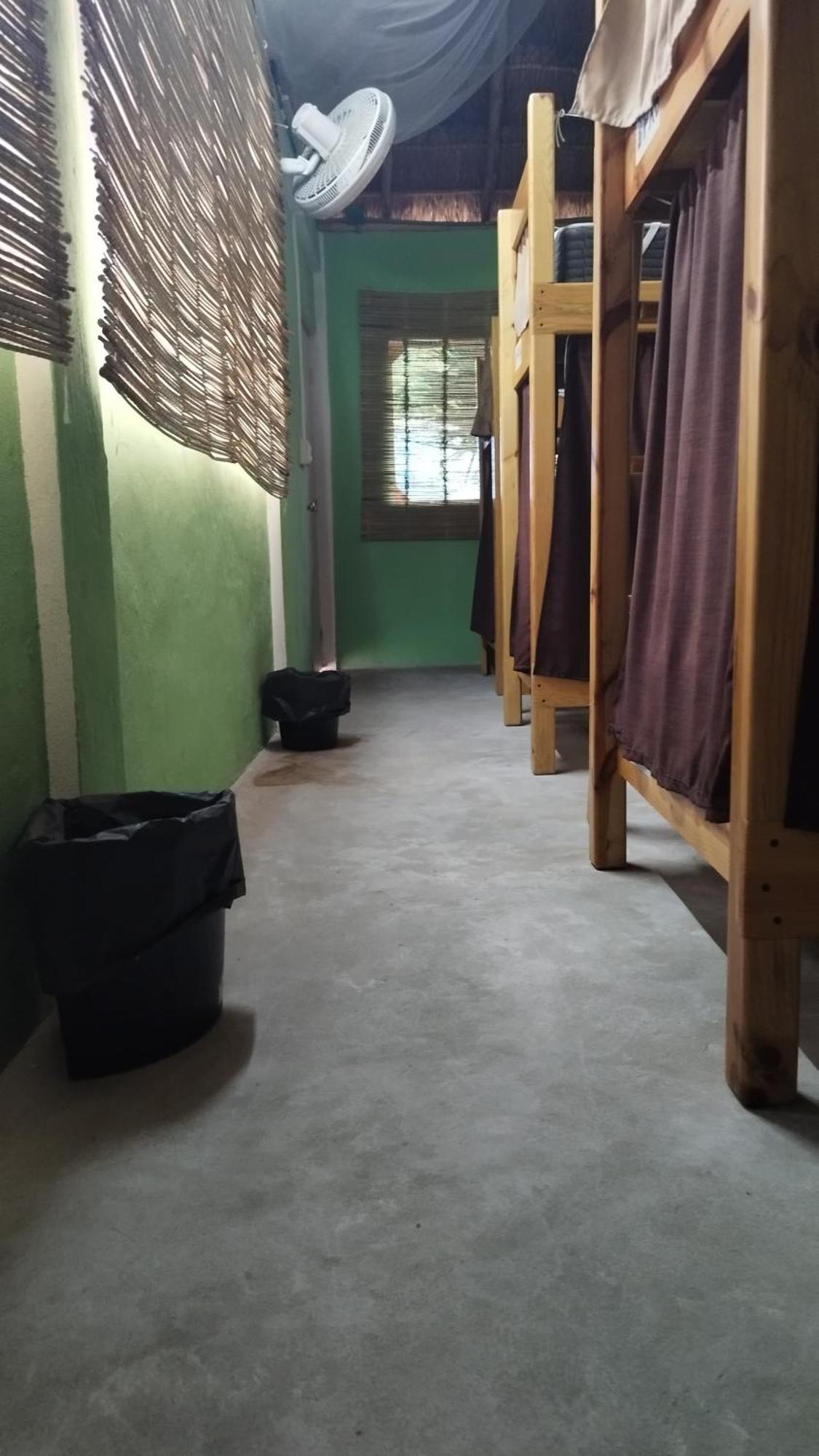 Blue Magic Hostel Cozumel Exterior foto